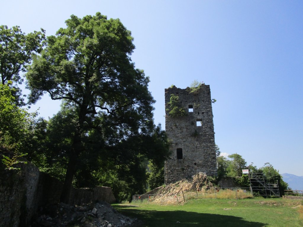 Ruine Neu-Montfort
