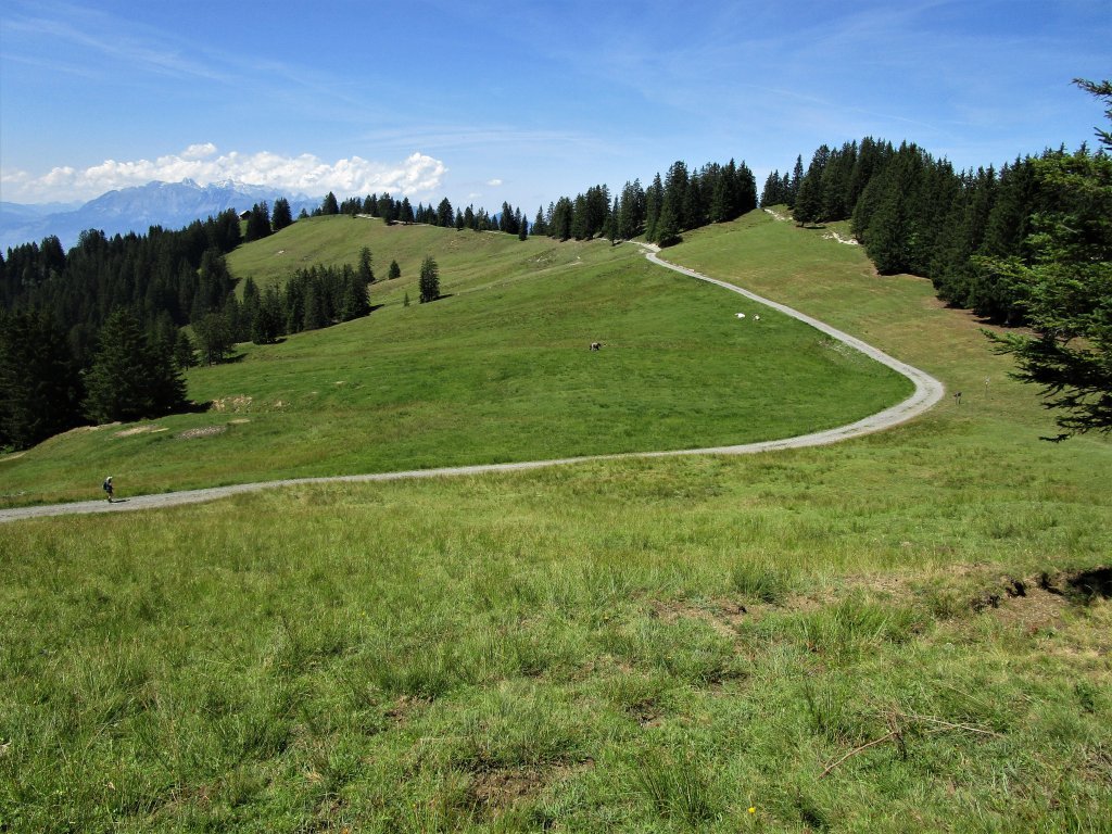 Gemütlicher Weg von der Tschuggenalpe zur Alpwegkopfhütte