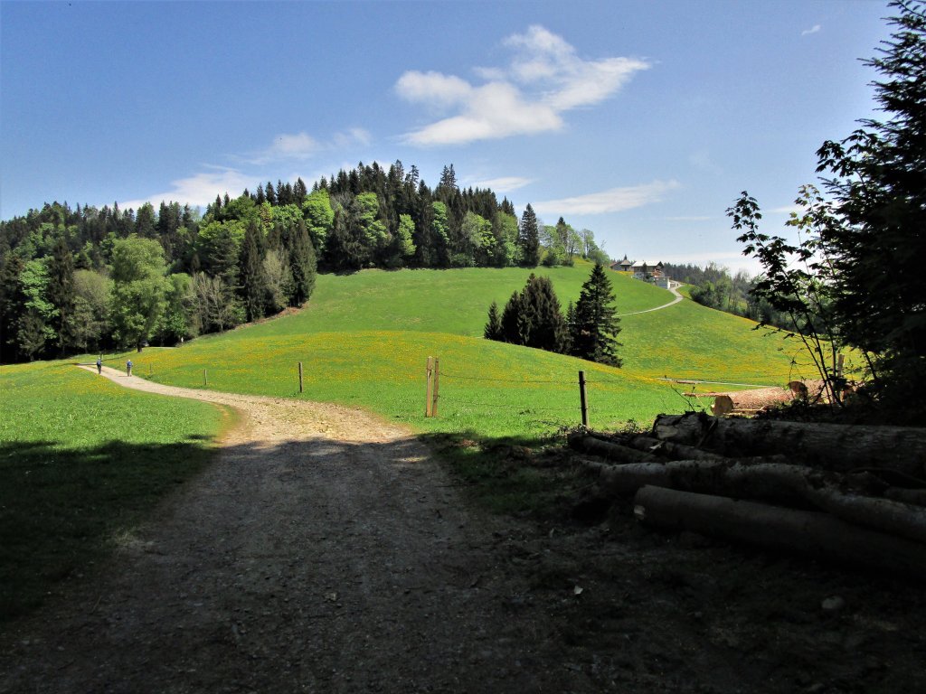 Nach dem Waldaustritt hinterm Fürnberg geht´s dann wieder leicht aufwärts zur Trögerhöhe