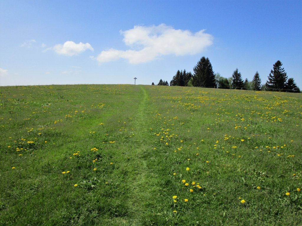 Die letzten Meter zum Gipfelkreuz des Hochberges