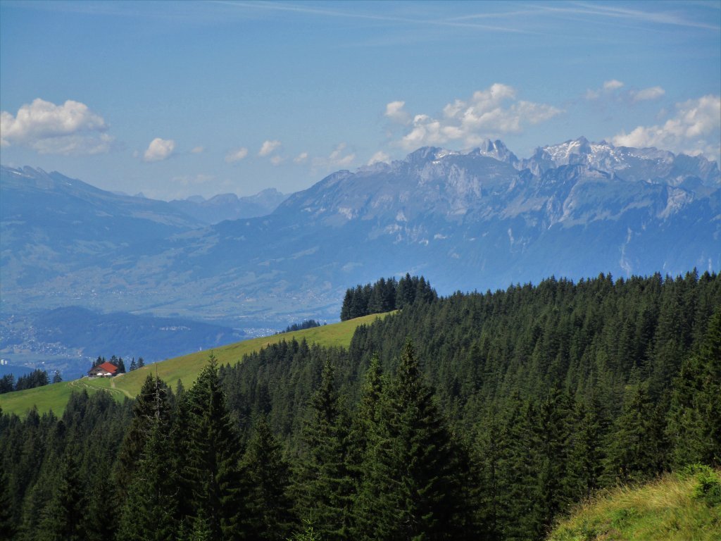 Blick über die Tschuggenalpe zum Alpstein in der Schweiz
