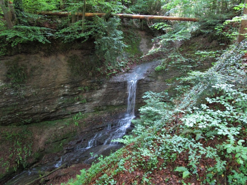 In den unterschiedlich harten Molasseschichten entstehen oft kleine Wasserfälle