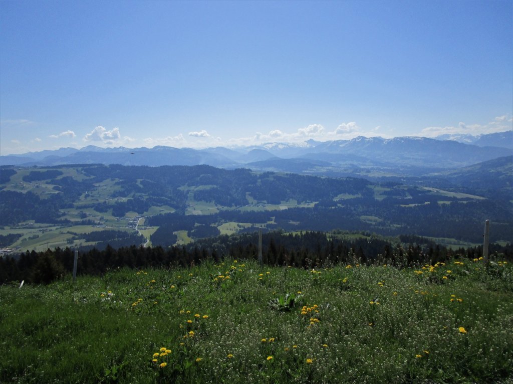 Der Vordere Bregenzerwald liegt uns zu Füßen