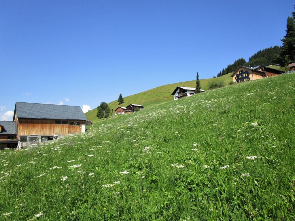 Verstreute Häuser in Oberboacker